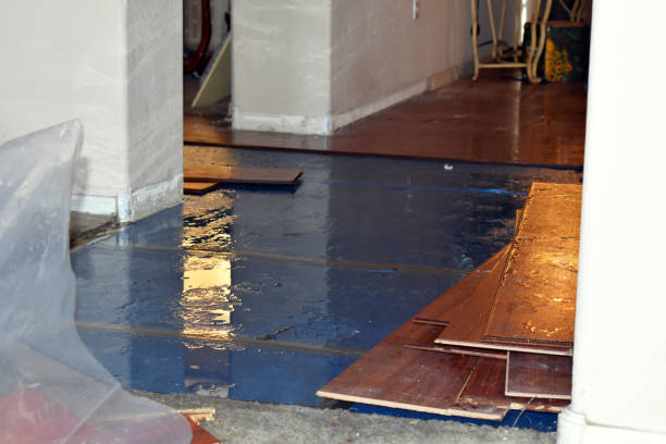 Professional Basement Flood Cleanup technician working in Oconto Falls, WI